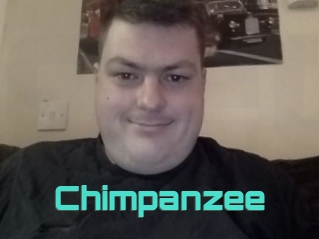 Chimpanzee