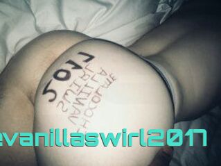Chocolatevanillaswirl2017