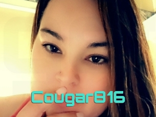 Cougar816