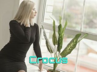 Crocus