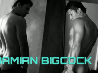 DAMIAN_BIGCOCK