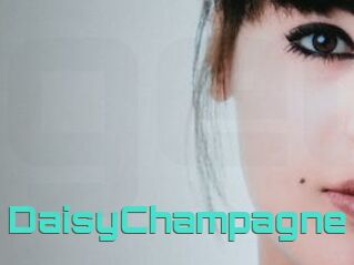 DaisyChampagne