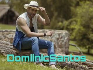 DomiinicSantos