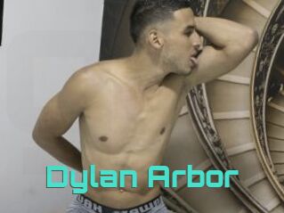 Dylan_Arbor