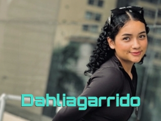 Dahliagarrido