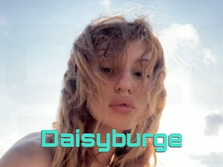 Daisyburge