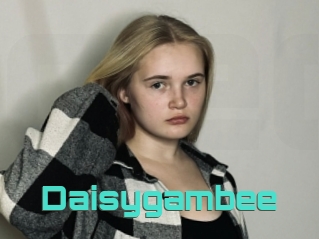 Daisygambee