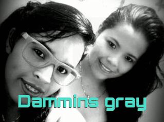 Dammins_gray