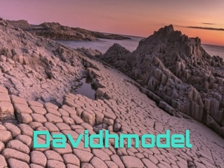 Davidhmodel