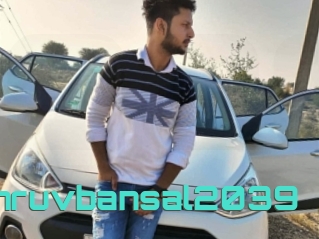 Dhruvbansal2039