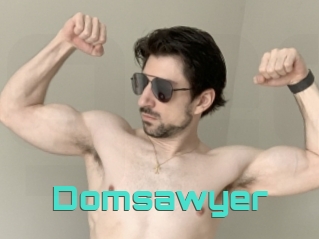 Domsawyer