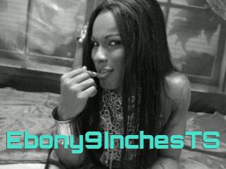 Ebony9InchesTS