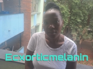 Ecxorticmelanin