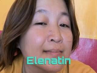 Elenatin