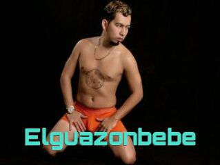 Elguazonbebe