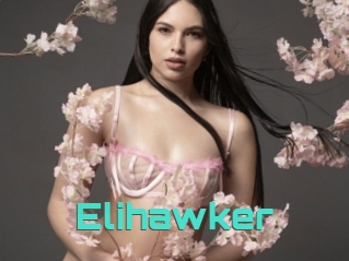 Elihawker