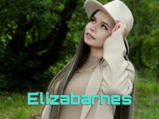 Elizabarnes