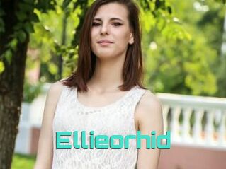 Ellieorhid
