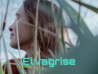 Elvagrise