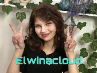Elwinacloud