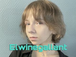 Elwinegallant