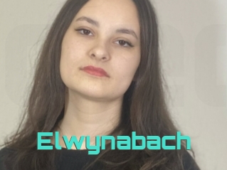 Elwynabach