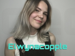 Elwynacopple