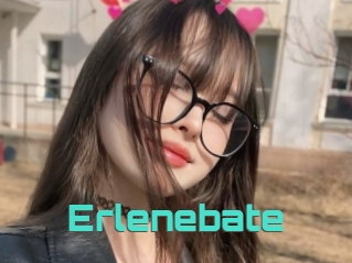 Erlenebate