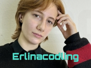 Erlinacodling
