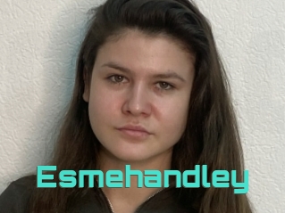 Esmehandley