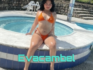 Evacambel