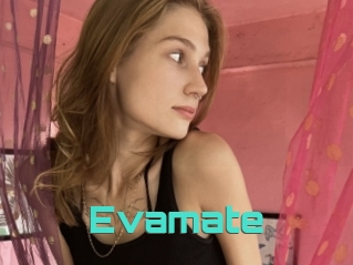 Evamate