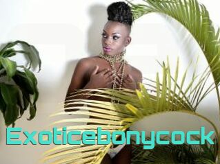 Exoticebonycock