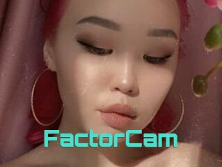 FactorCam