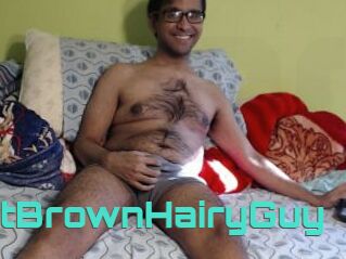 FatBrownHairyGuy