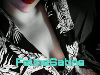 FelineSatine