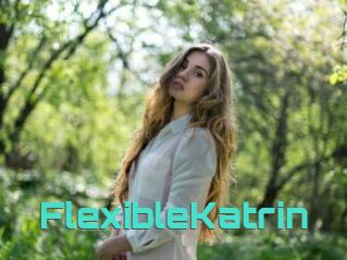 FlexibleKatrin