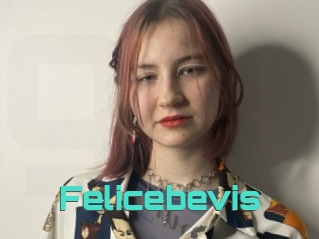 Felicebevis
