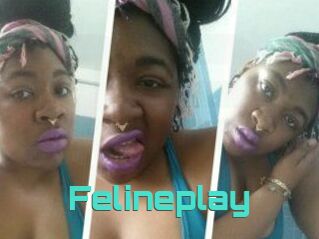 Felineplay