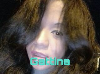 Gattina