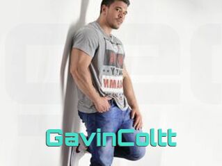 GavinColtt