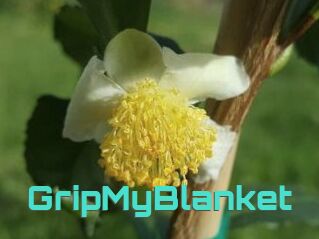 GripMyBlanket