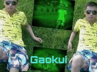 Gaokui