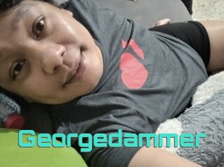 Georgedammer