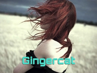 Gingercat