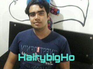 HairybigHo
