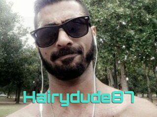 Hairydude87