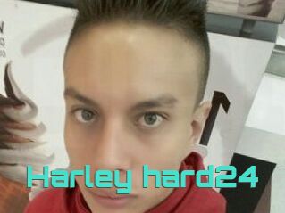 Harley_hard24