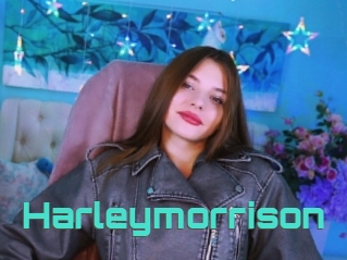 Harleymorrison