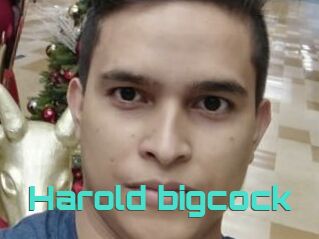 Harold_bigcock